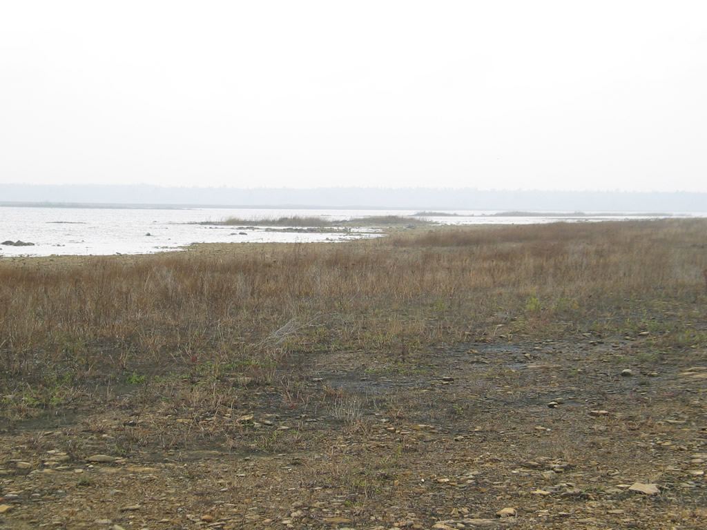 04-07-03.JPG 04-07-03.JPG