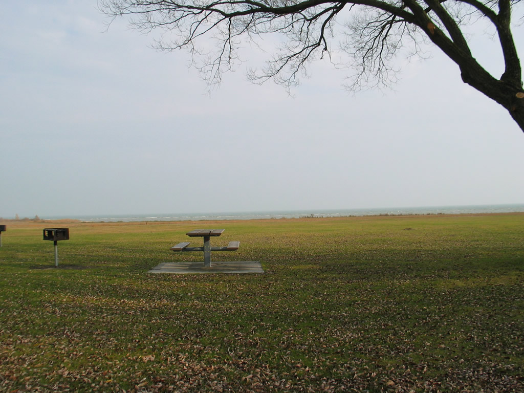 04-08-01.JPG 04-08-01.JPG