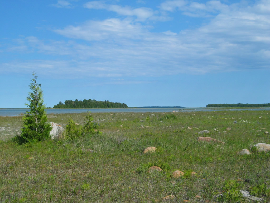 04-16-01.JPG 04-16-01.JPG