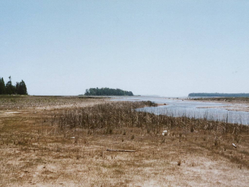 04-17-02.jpg 04-17-02.jpg