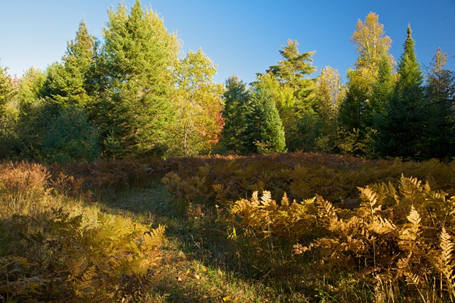 08_10_7475smaller.jpg 08_10_7475smaller.jpg