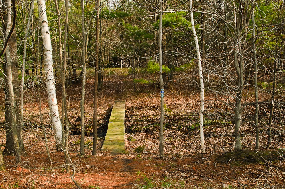 20110501_chaboiganing_6694.jpg 20110501_chaboiganing_6694.jpg