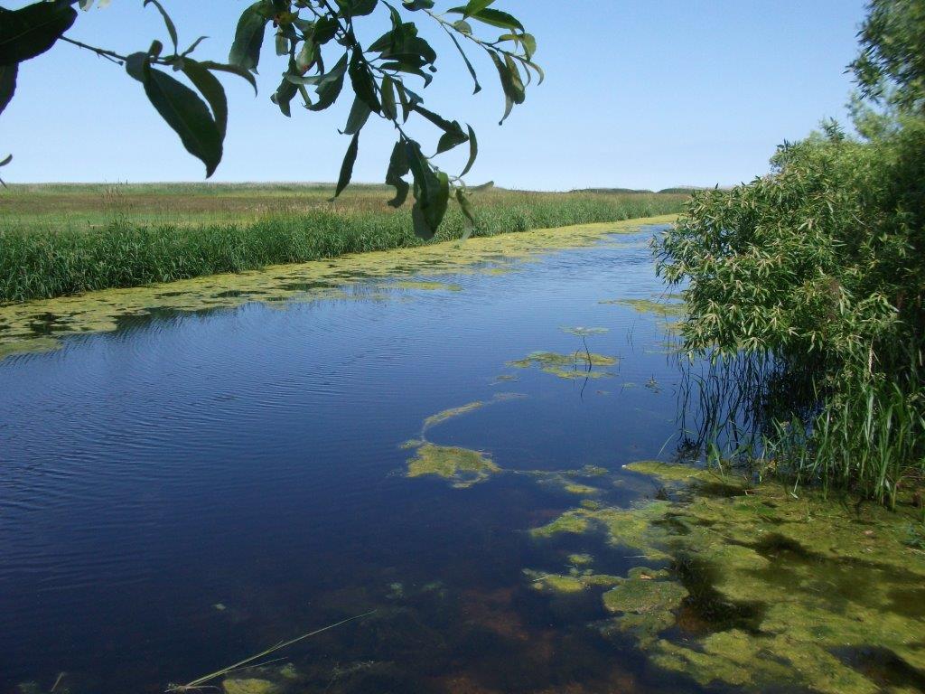 291_coggins_road_dnr_boat_launch.jpg 291_coggins_road_dnr_boat_launch.jpg