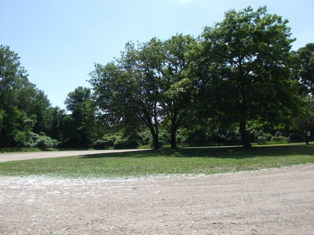 297_coggins_road_dnr_boat_launch.jpg 297_coggins_road_dnr_boat_launch.jpg