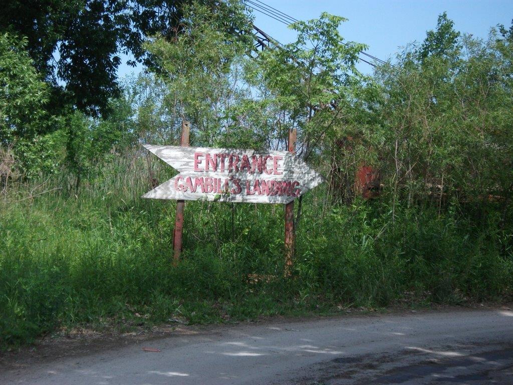 298_gambels_landing.jpg 298_gambels_landing.jpg