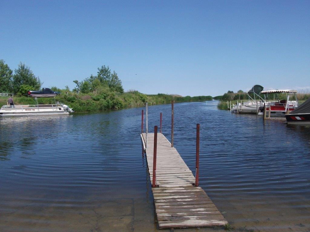 300_gambels_landing.jpg 300_gambels_landing.jpg