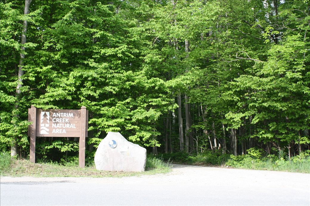Antrim Creek Natural Area