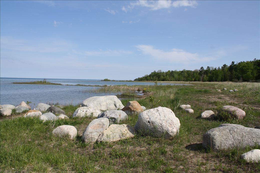 Antrim Creek Natural Area