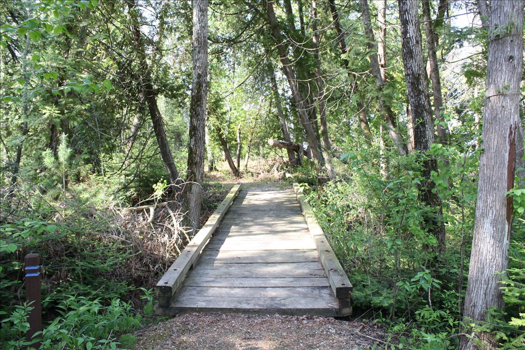 Antrim Creek Natural Area