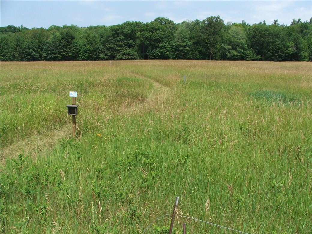 after2006.jpg after2006.jpg