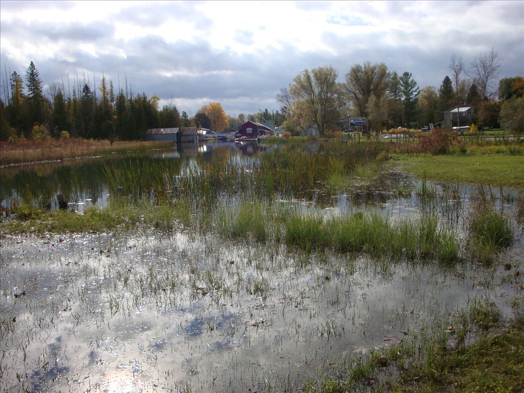 alanson_east_street_4.jpg alanson_east_street_4.jpg