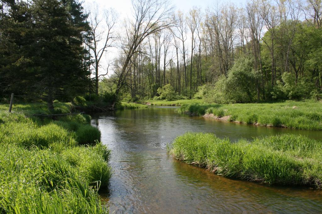 Belle River in Columbus County Park Belle River in Columbus County Park