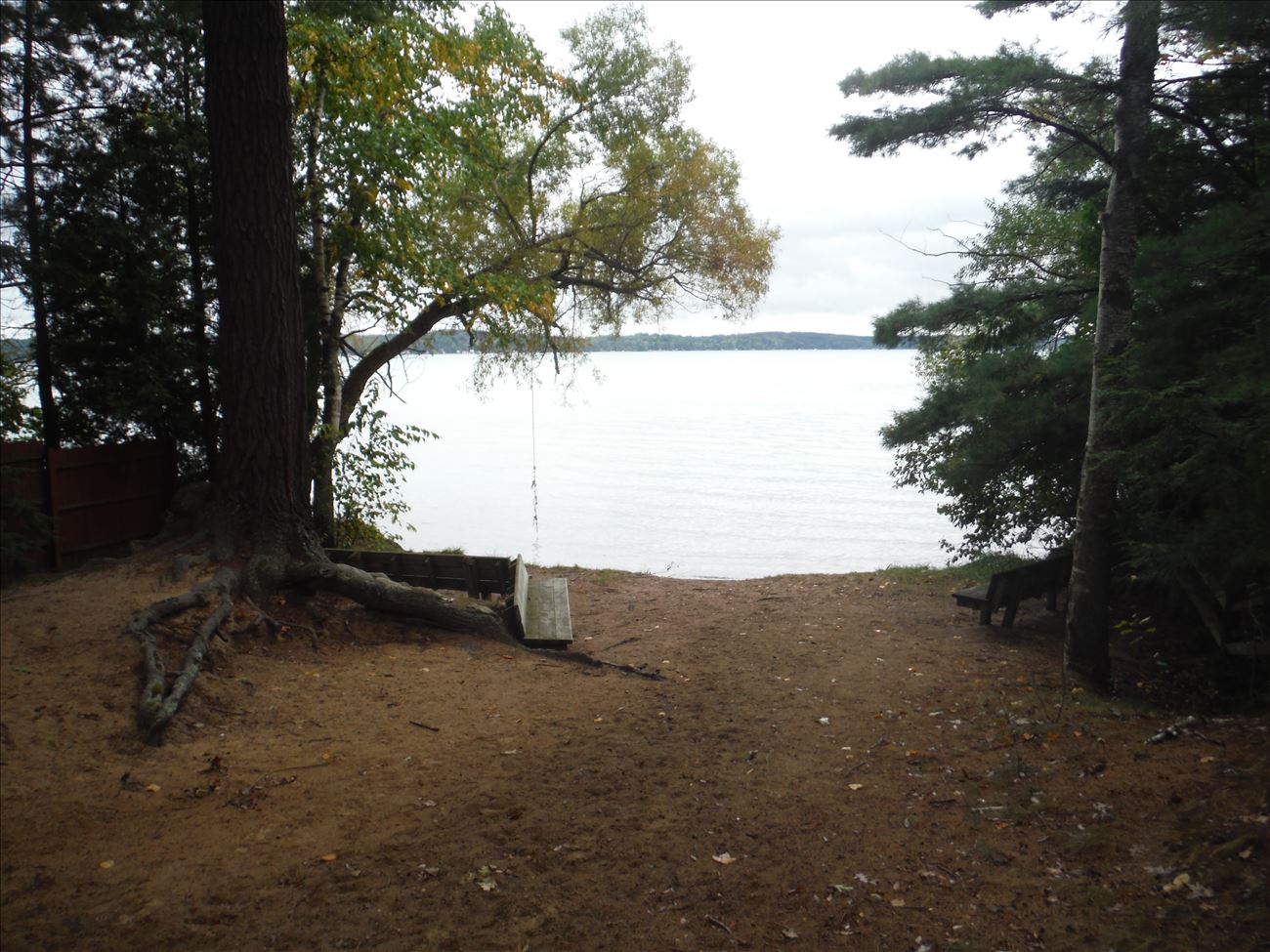 birchst4.jpg birchst4.jpg