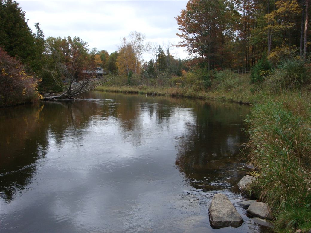 blsp_sturgeon_river_1.jpg blsp_sturgeon_river_1.jpg