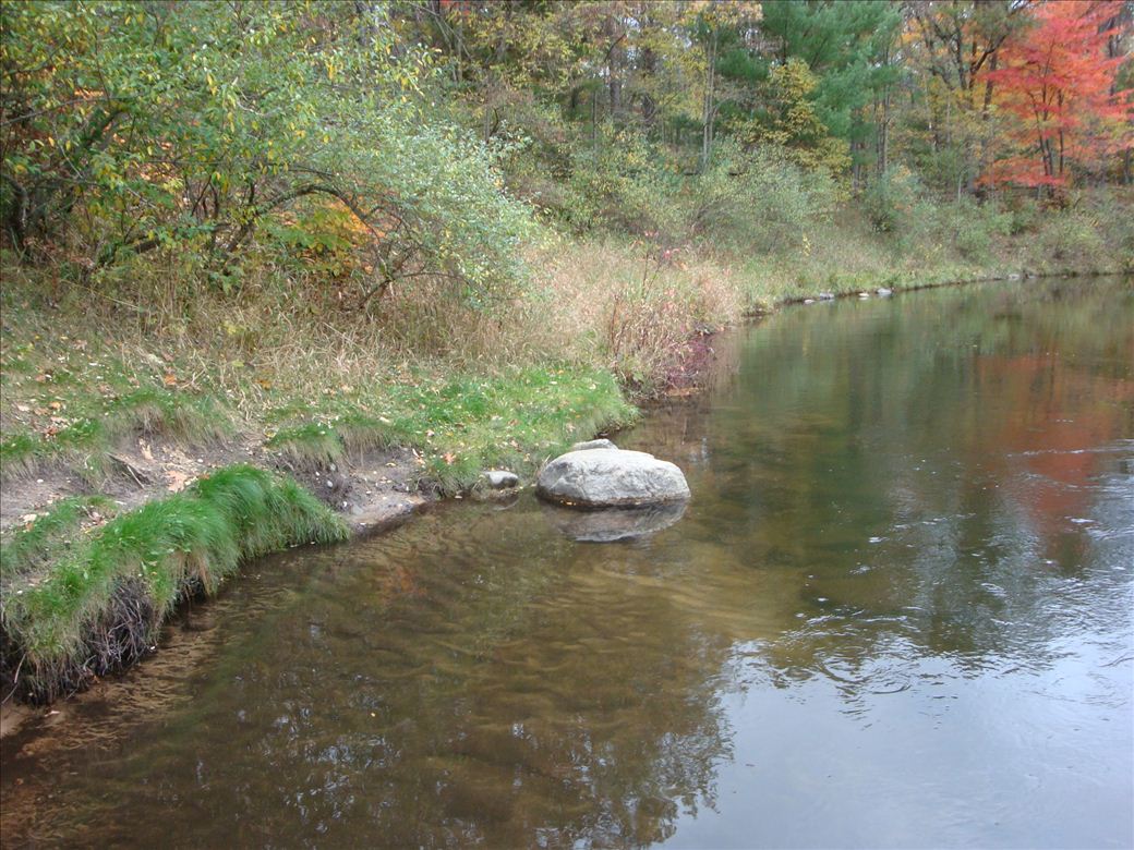 blsp_sturgeon_river_2.jpg blsp_sturgeon_river_2.jpg