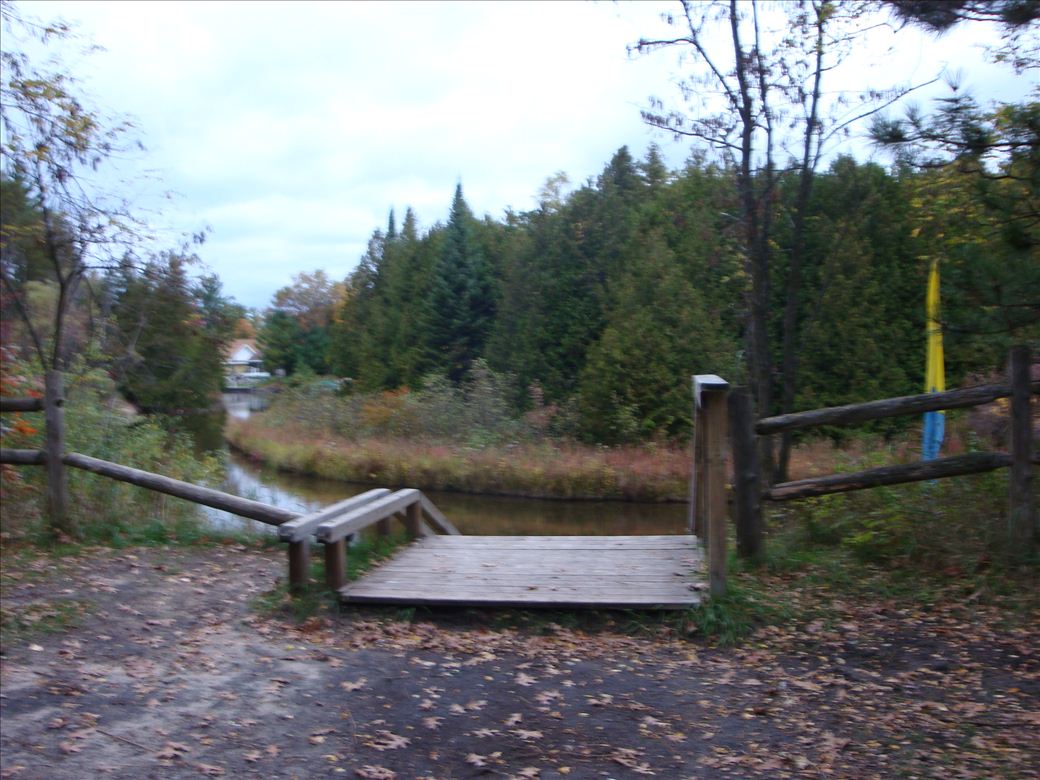 blsp_sturgeon_river_4.jpg blsp_sturgeon_river_4.jpg