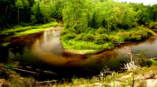 boyde_banwell_nature_preserve_pigeon_river.jpg boyde_banwell_nature_preserve_pigeon_river.jpg