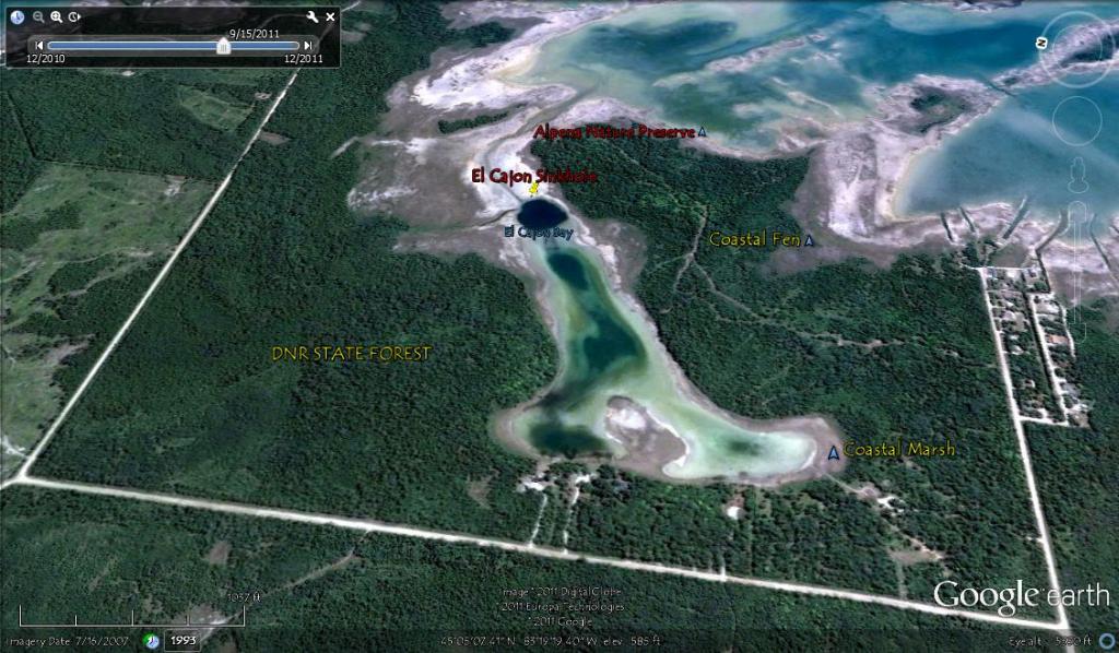 dnr_state_forest.jpg dnr_state_forest.jpg