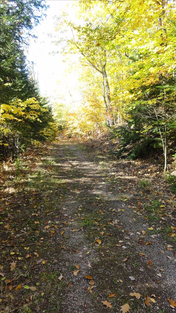 dsc00243.jpg dsc00243.jpg