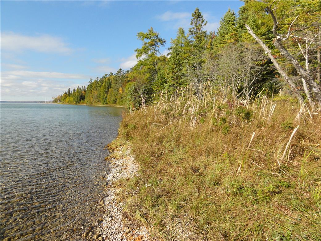 dsc00247.jpg dsc00247.jpg