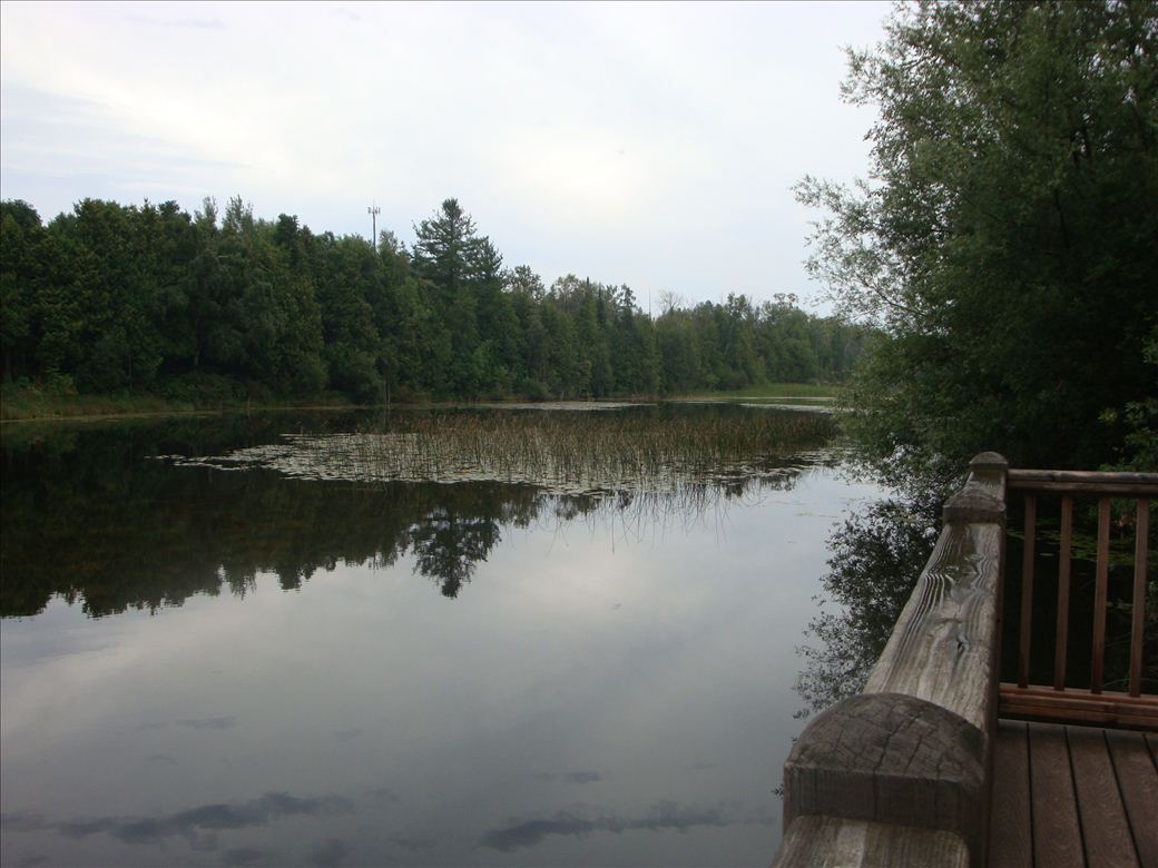 dsc07586_1.jpg dsc07586_1.jpg