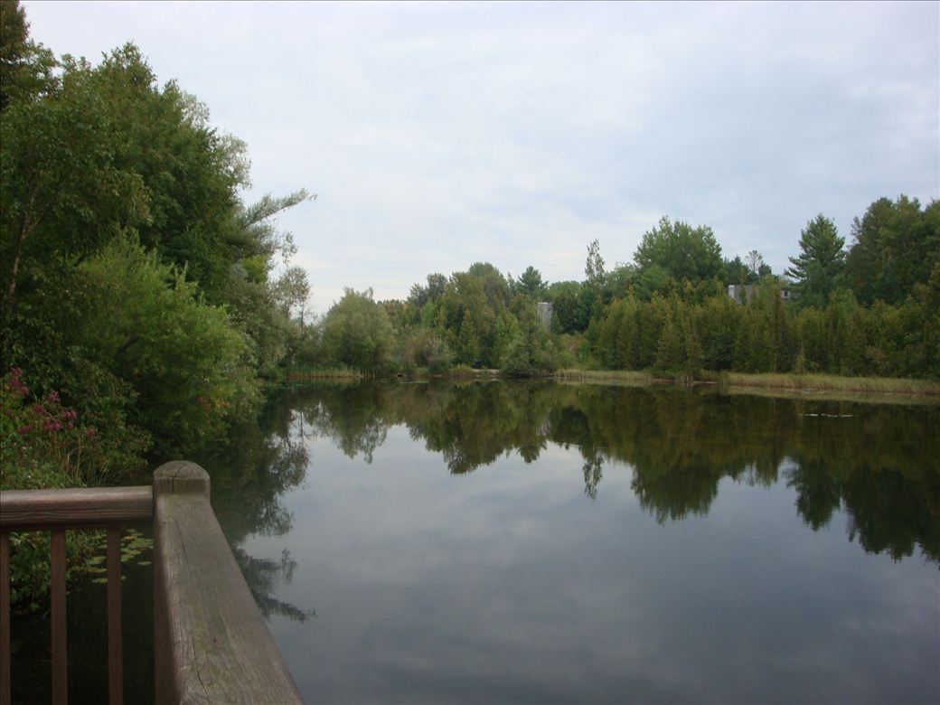 dsc07587.jpg dsc07587.jpg