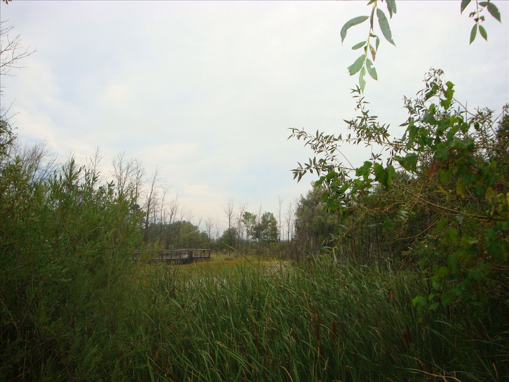 dsc07589.jpg dsc07589.jpg