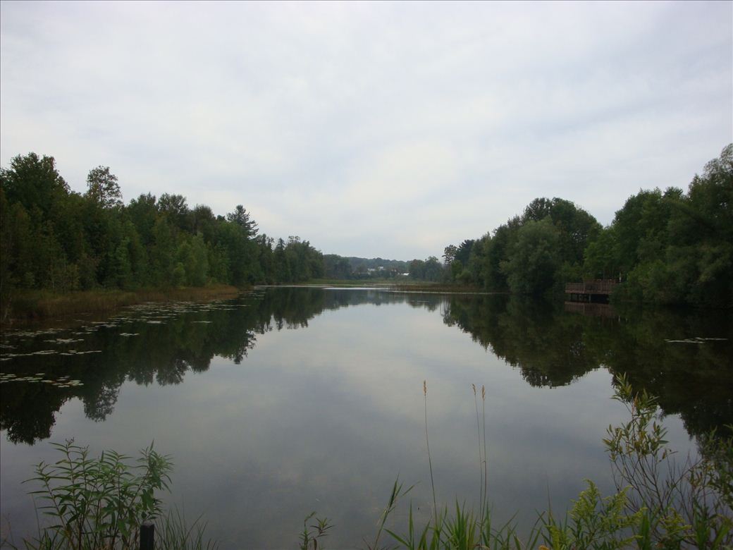 dsc07590.jpg dsc07590.jpg