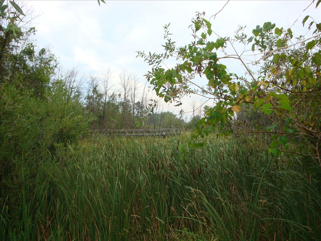 dsc07591.jpg dsc07591.jpg