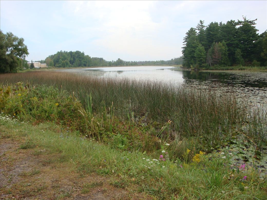 dsc07593.jpg dsc07593.jpg