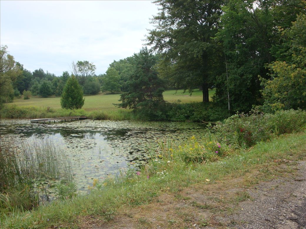 dsc07594.jpg dsc07594.jpg