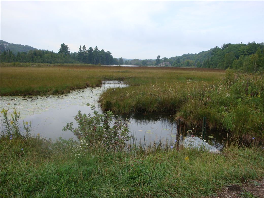 Looking towards Spring Lake Looking towards Spring Lake