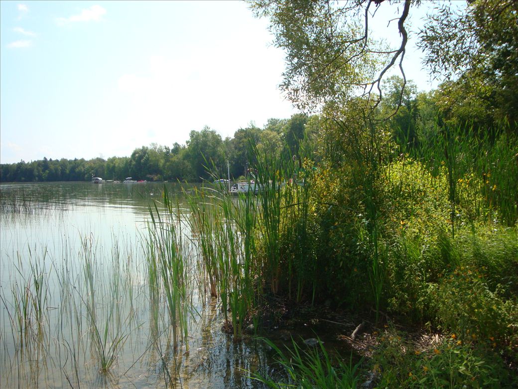 dsc07608.jpg dsc07608.jpg