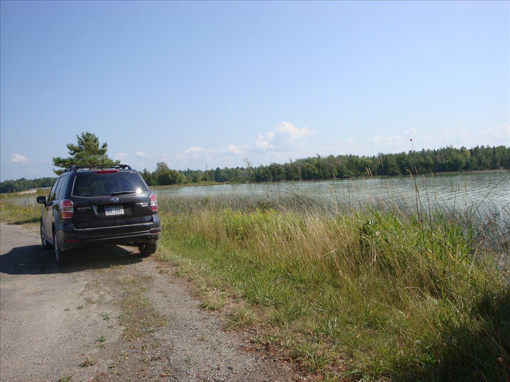 dsc07616.jpg dsc07616.jpg