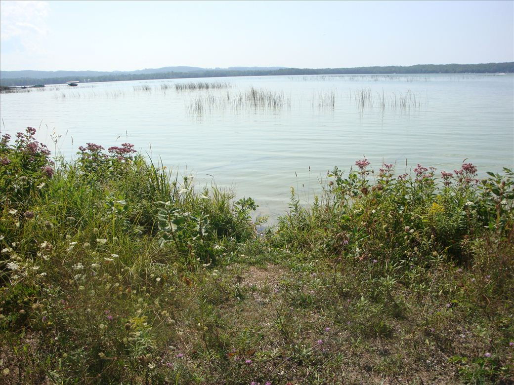 dsc07617.jpg dsc07617.jpg