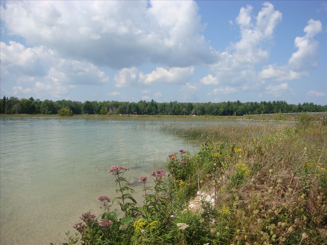 dsc07618.jpg dsc07618.jpg