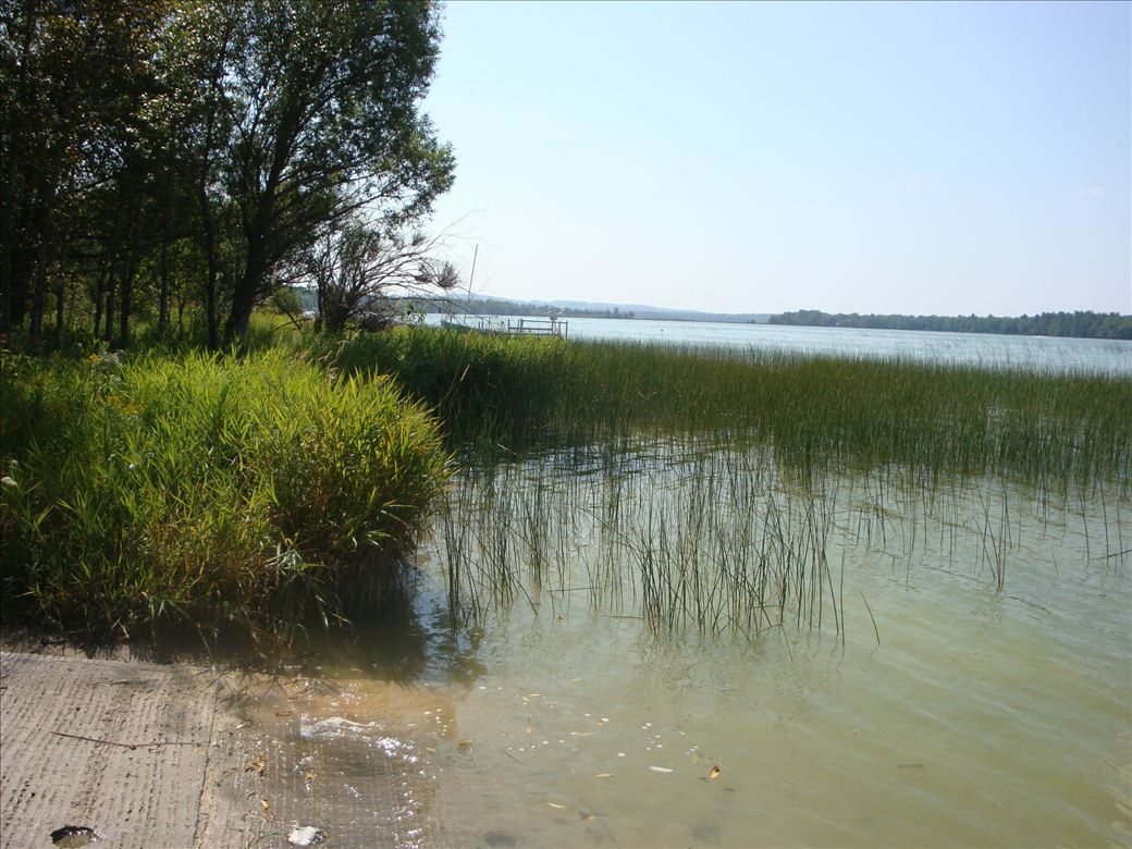 dsc07622.jpg dsc07622.jpg