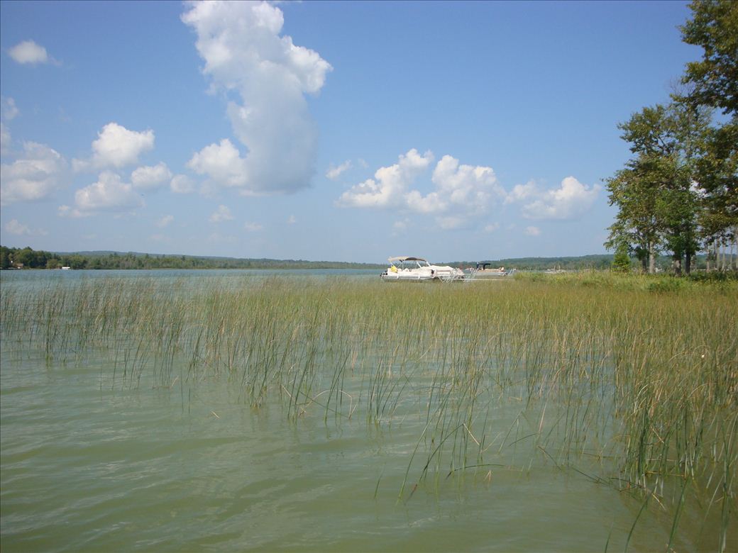 dsc07624.jpg dsc07624.jpg