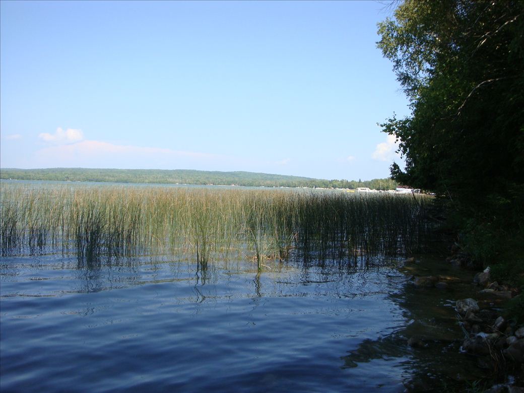 dsc07637.jpg dsc07637.jpg