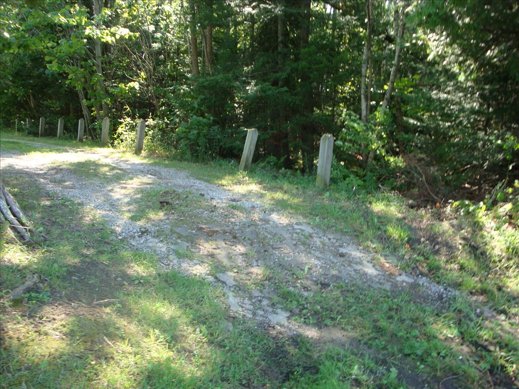 dsc07638.jpg dsc07638.jpg