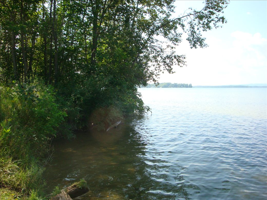 dsc07644.jpg dsc07644.jpg