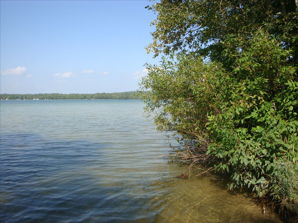 dsc07645.jpg dsc07645.jpg