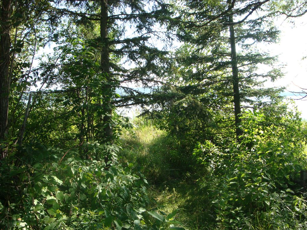 dsc07660.jpg dsc07660.jpg