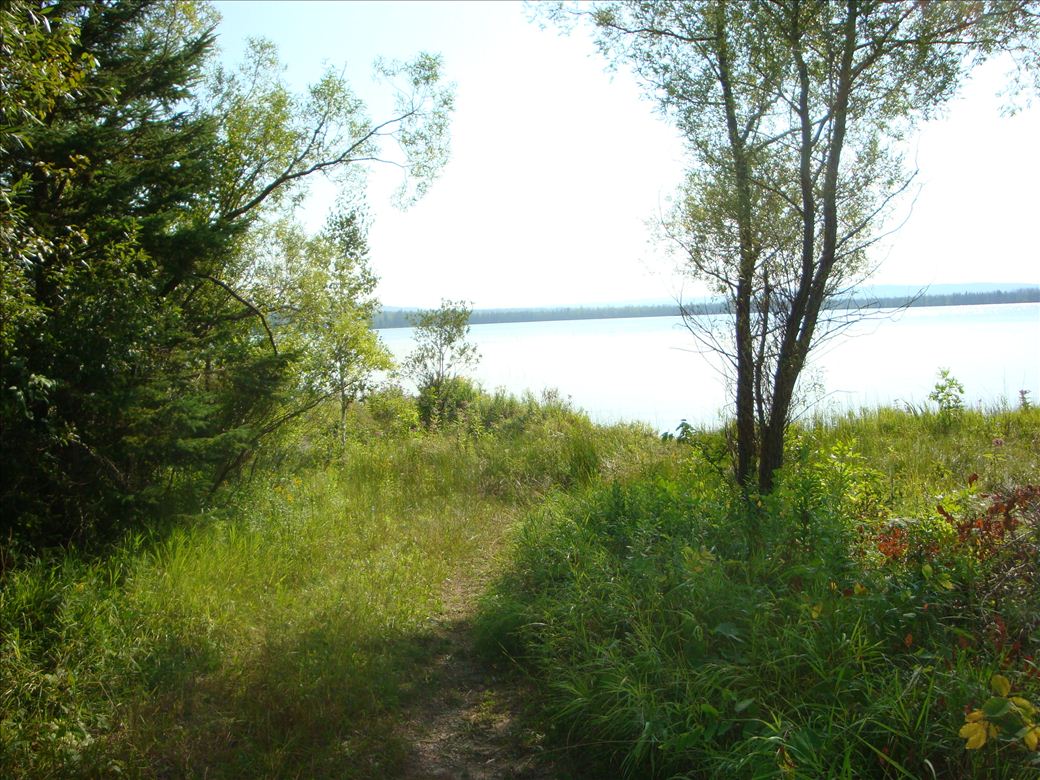 dsc07662.jpg dsc07662.jpg