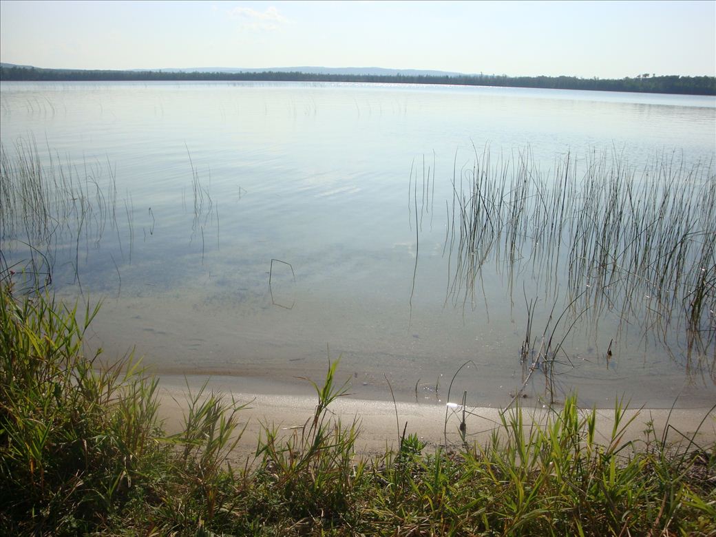 dsc07663.jpg dsc07663.jpg