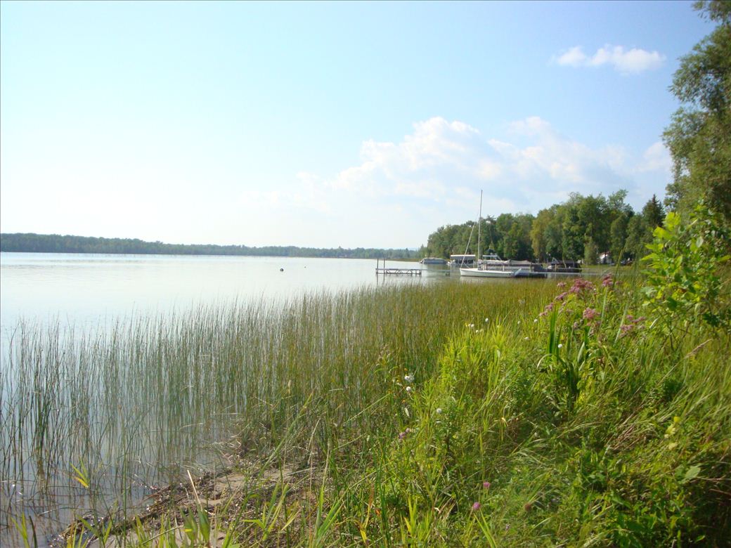 dsc07664.jpg dsc07664.jpg