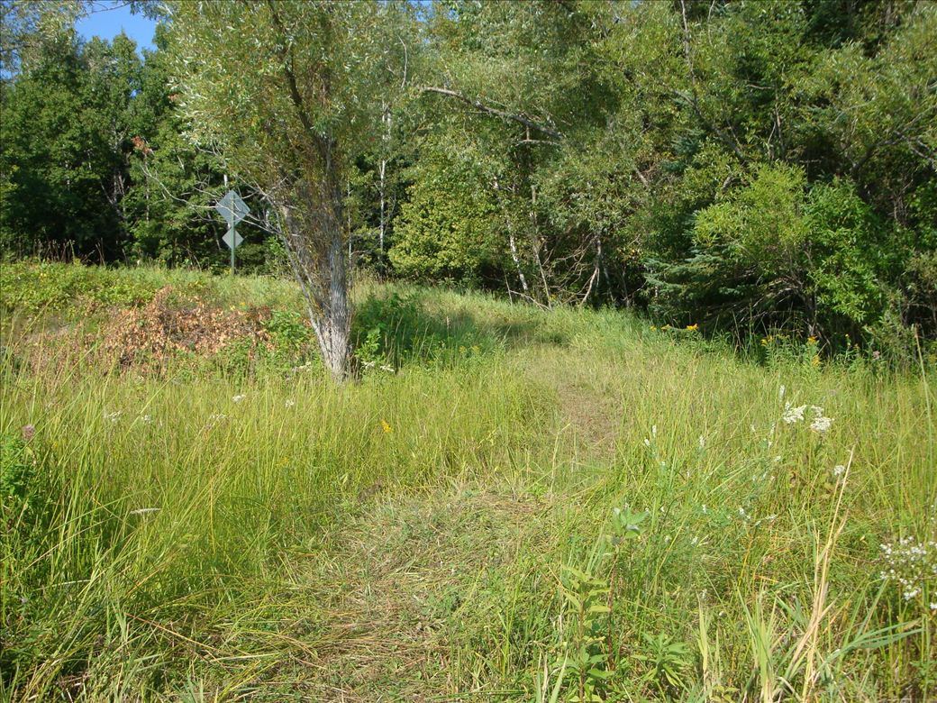 dsc07666.jpg dsc07666.jpg