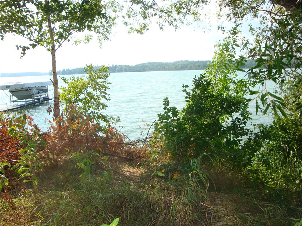 dsc07669.jpg dsc07669.jpg