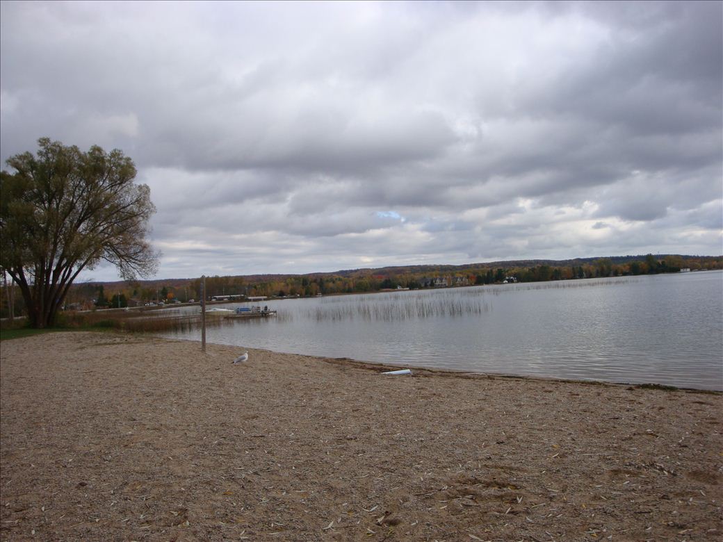 dsc08205.jpg dsc08205.jpg