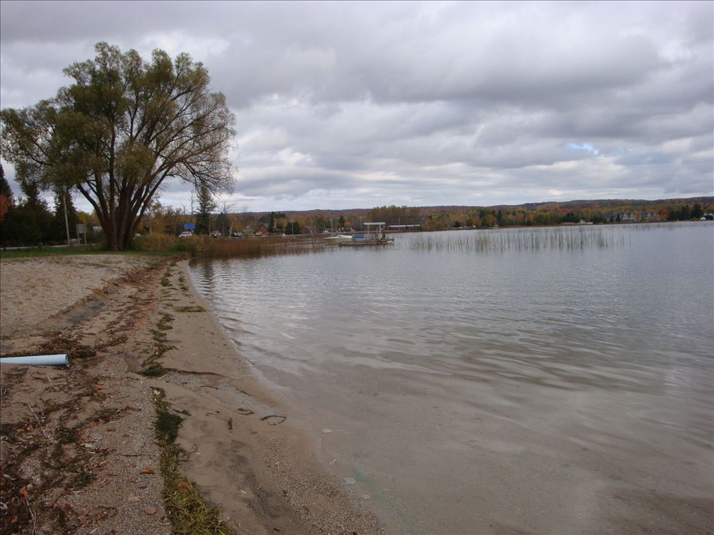 dsc08207.jpg dsc08207.jpg